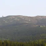 Storczyk * Schreiberhau