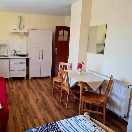 Storczyk Проживание в семье