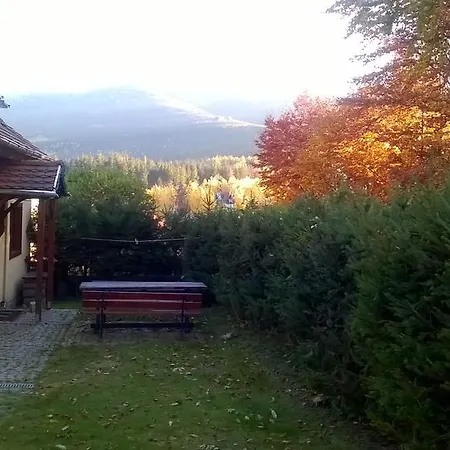 Storczyk *