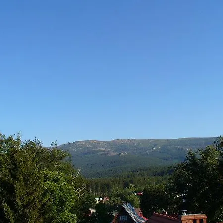 Homestay Storczyk