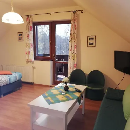 Проживание в семье Storczyk *