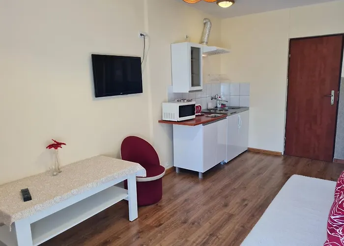 Storczyk Проживание в семье *