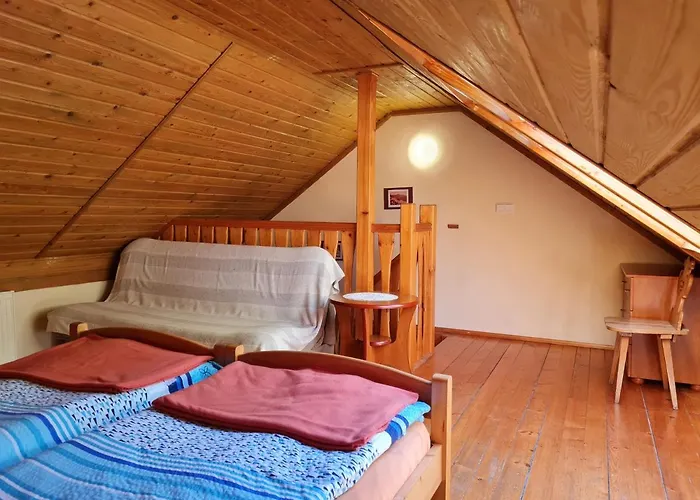 Storczyk Проживание в семье